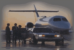 vip-body-guard Turkey